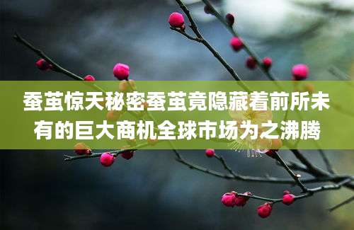 蚕茧惊天秘密蚕茧竟隐藏着前所未有的巨大商机全球市场为之沸腾