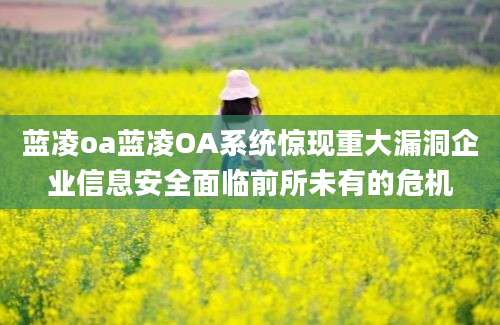 蓝凌oa蓝凌OA系统惊现重大漏洞企业信息安全面临前所未有的危机