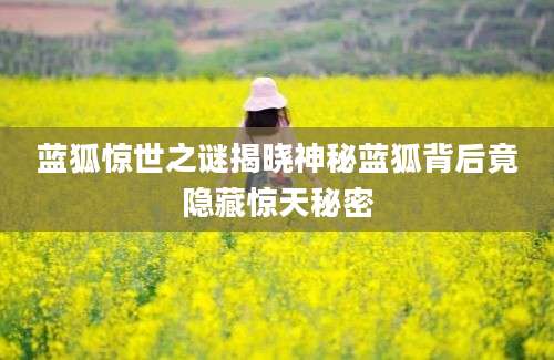 蓝狐惊世之谜揭晓神秘蓝狐背后竟隐藏惊天秘密
