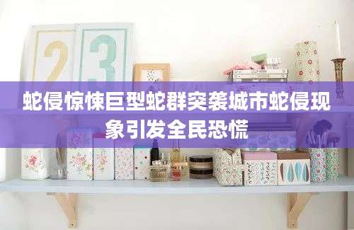 蛇侵惊悚巨型蛇群突袭城市蛇侵现象引发全民恐慌