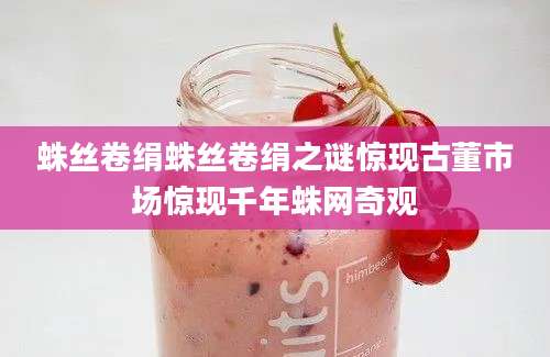 蛛丝卷绢蛛丝卷绢之谜惊现古董市场惊现千年蛛网奇观