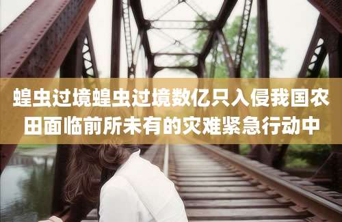 蝗虫过境蝗虫过境数亿只入侵我国农田面临前所未有的灾难紧急行动中