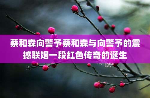 蔡和森向警予蔡和森与向警予的震撼联姻一段红色传奇的诞生