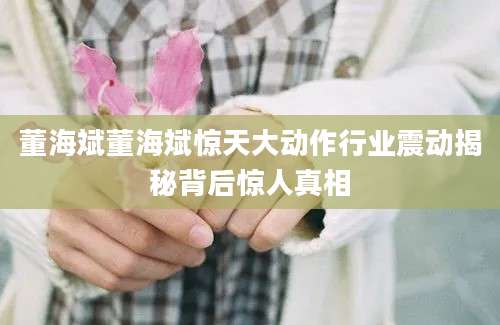 董海斌董海斌惊天大动作行业震动揭秘背后惊人真相