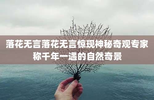 落花无言落花无言惊现神秘奇观专家称千年一遇的自然奇景