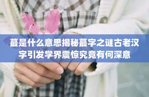 蕞是什么意思揭秘蕞字之谜古老汉字引发学界震惊究竟有何深意
