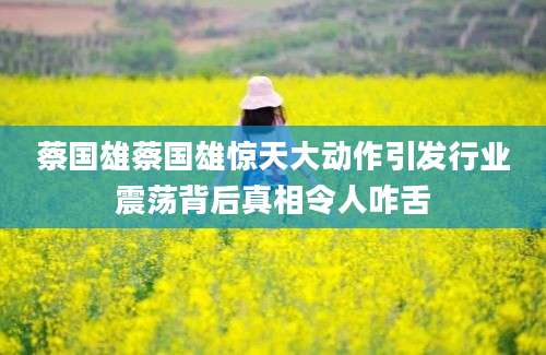 蔡国雄蔡国雄惊天大动作引发行业震荡背后真相令人咋舌