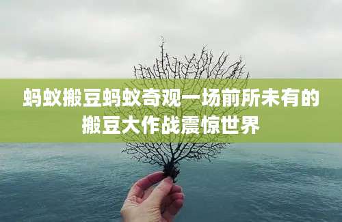 蚂蚁搬豆蚂蚁奇观一场前所未有的搬豆大作战震惊世界