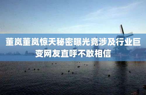 董岚董岚惊天秘密曝光竟涉及行业巨变网友直呼不敢相信