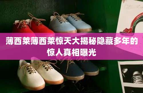 薄西莱薄西莱惊天大揭秘隐藏多年的惊人真相曝光