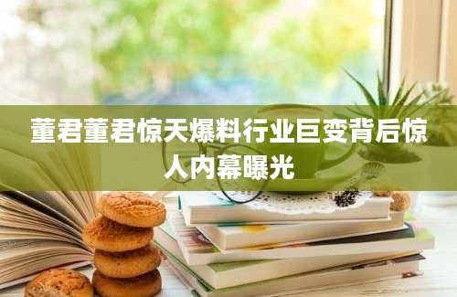 董君董君惊天爆料行业巨变背后惊人内幕曝光