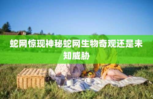 蛇网惊现神秘蛇网生物奇观还是未知威胁
