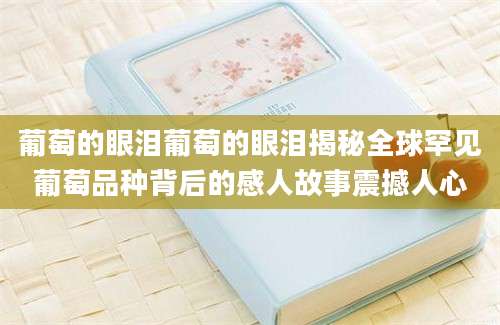 葡萄的眼泪葡萄的眼泪揭秘全球罕见葡萄品种背后的感人故事震撼人心