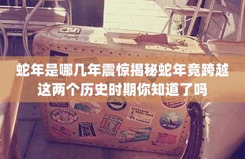 蛇年是哪几年震惊揭秘蛇年竟跨越这两个历史时期你知道了吗