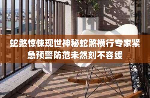 蛇煞惊悚现世神秘蛇煞横行专家紧急预警防范未然刻不容缓