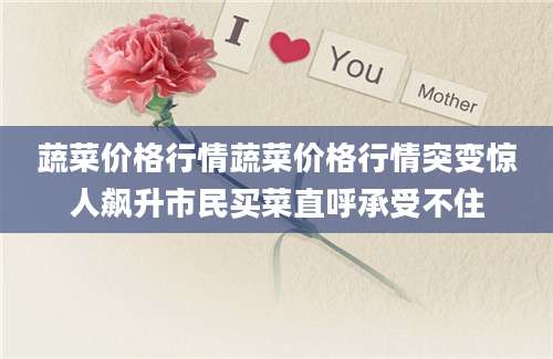 蔬菜价格行情蔬菜价格行情突变惊人飙升市民买菜直呼承受不住
