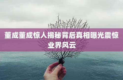 董成董成惊人揭秘背后真相曝光震惊业界风云