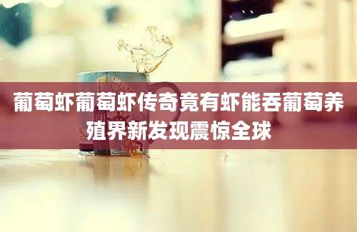 葡萄虾葡萄虾传奇竟有虾能吞葡萄养殖界新发现震惊全球