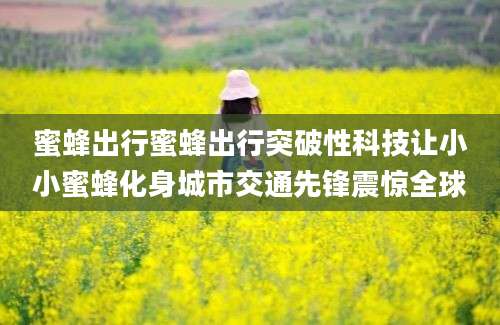 蜜蜂出行蜜蜂出行突破性科技让小小蜜蜂化身城市交通先锋震惊全球