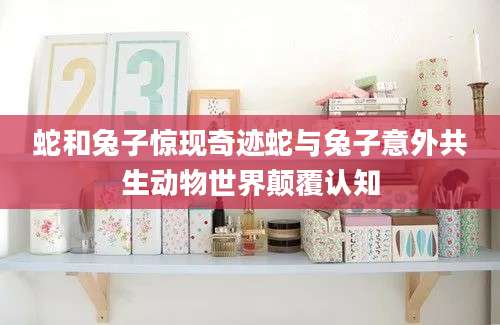 蛇和兔子惊现奇迹蛇与兔子意外共生动物世界颠覆认知