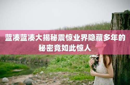 蓝凑蓝凑大揭秘震惊业界隐藏多年的秘密竟如此惊人