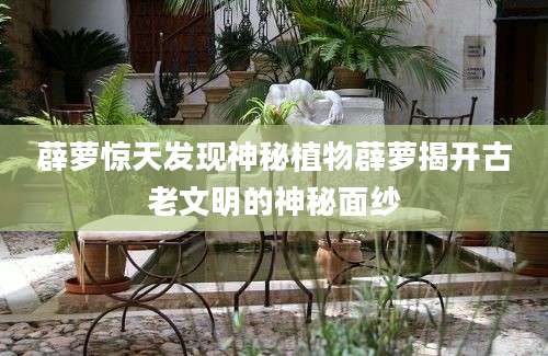 薜萝惊天发现神秘植物薜萝揭开古老文明的神秘面纱