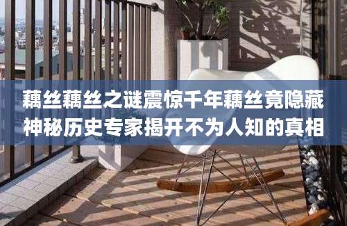 藕丝藕丝之谜震惊千年藕丝竟隐藏神秘历史专家揭开不为人知的真相