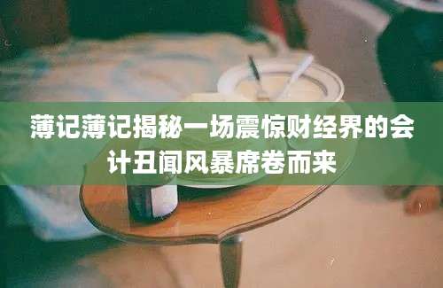 薄记薄记揭秘一场震惊财经界的会计丑闻风暴席卷而来