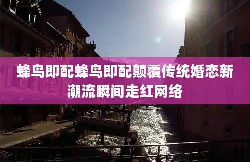 蜂鸟即配蜂鸟即配颠覆传统婚恋新潮流瞬间走红网络