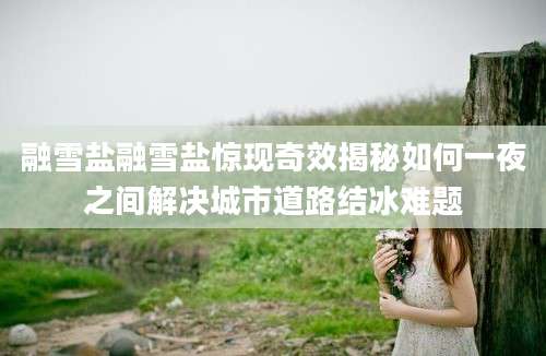 融雪盐融雪盐惊现奇效揭秘如何一夜之间解决城市道路结冰难题