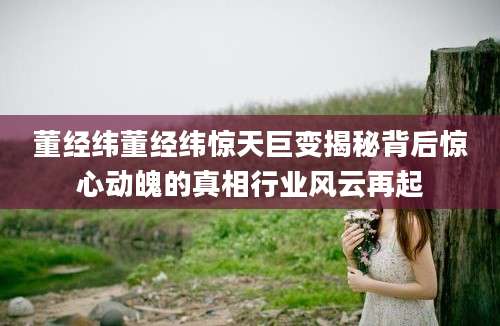 董经纬董经纬惊天巨变揭秘背后惊心动魄的真相行业风云再起