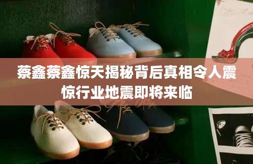 蔡鑫蔡鑫惊天揭秘背后真相令人震惊行业地震即将来临