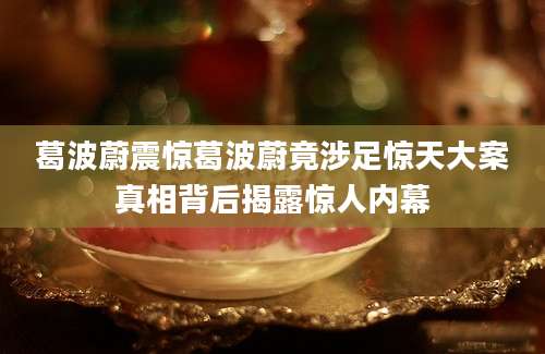 葛波蔚震惊葛波蔚竟涉足惊天大案真相背后揭露惊人内幕