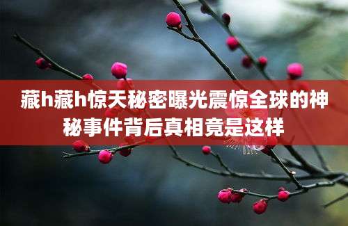 藏h藏h惊天秘密曝光震惊全球的神秘事件背后真相竟是这样