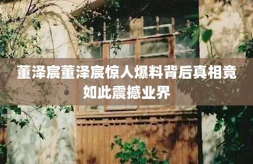 董泽宸董泽宸惊人爆料背后真相竟如此震撼业界