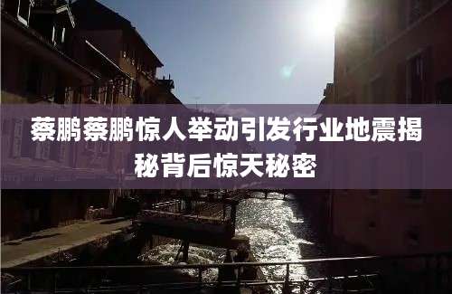 蔡鹏蔡鹏惊人举动引发行业地震揭秘背后惊天秘密