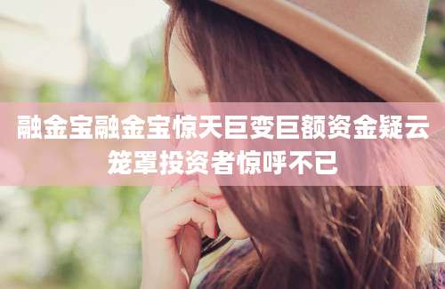 融金宝融金宝惊天巨变巨额资金疑云笼罩投资者惊呼不已