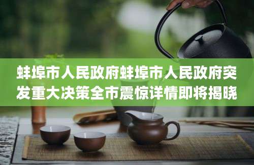 蚌埠市人民政府蚌埠市人民政府突发重大决策全市震惊详情即将揭晓
