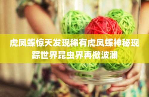 虎凤蝶惊天发现稀有虎凤蝶神秘现踪世界昆虫界再掀波澜