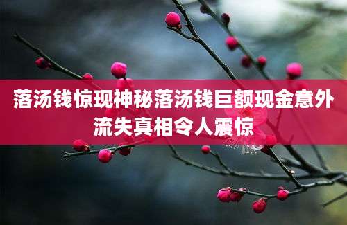 落汤钱惊现神秘落汤钱巨额现金意外流失真相令人震惊