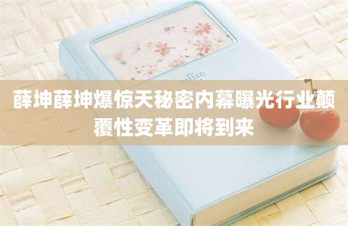 薛坤薛坤爆惊天秘密内幕曝光行业颠覆性变革即将到来