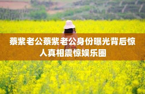 蔡紫老公蔡紫老公身份曝光背后惊人真相震惊娱乐圈