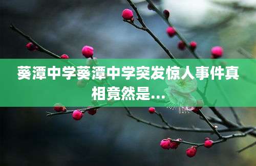 葵潭中学葵潭中学突发惊人事件真相竟然是...