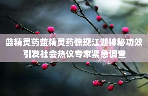 蓝精灵药蓝精灵药惊现江湖神秘功效引发社会热议专家紧急调查