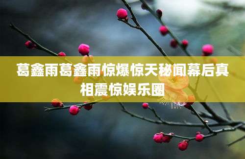 葛鑫雨葛鑫雨惊爆惊天秘闻幕后真相震惊娱乐圈