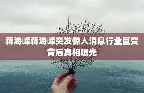蒋海峰蒋海峰突发惊人消息行业巨变背后真相曝光