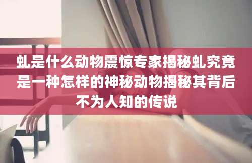 虬是什么动物震惊专家揭秘虬究竟是一种怎样的神秘动物揭秘其背后不为人知的传说