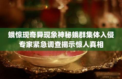 蛾惊现奇异现象神秘蛾群集体入侵专家紧急调查揭示惊人真相