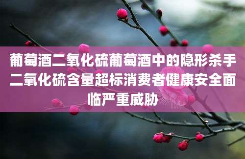 葡萄酒二氧化硫葡萄酒中的隐形杀手二氧化硫含量超标消费者健康安全面临严重威胁