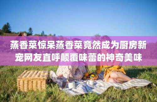 蒸香菜惊呆蒸香菜竟然成为厨房新宠网友直呼颠覆味蕾的神奇美味